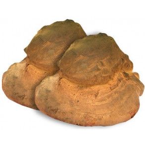 Pane di Altamura DOP cotto in forno a legna