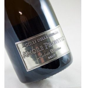 Spumante metodo classico pugliese da uve fiano minutolo biologiche 2
