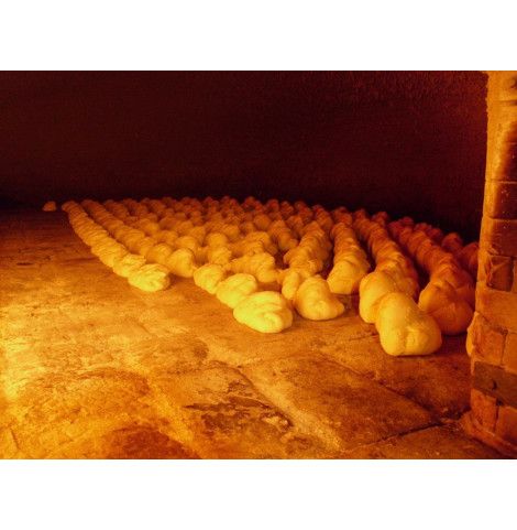 Cottura Pane di Matera in forno a legna Cottura Pane di Matera in forno a legna