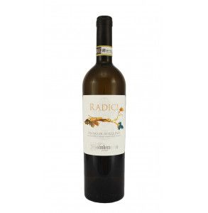 vino bianco Fiano di Avellino Radici prodotto da Mastroberardino