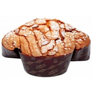 colomba classica Calciano