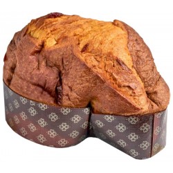 colomba artigianale all'albicocca Forno Gentile
