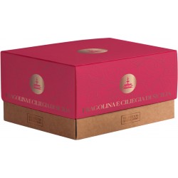 colomba fragoline e ciliegie Fiasconaro 2
