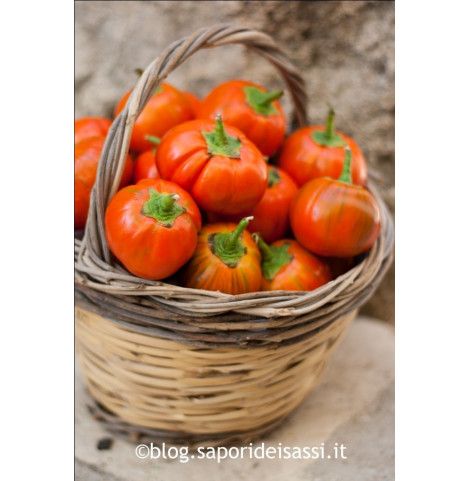 Melanzane rosse intere