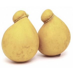 Formaggio Caciocavallo lucano intero sottovuoto