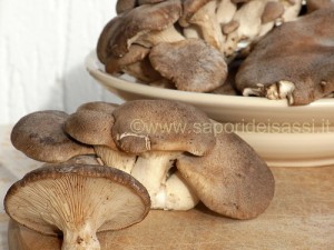 Pasta Mista Con Sugo Di Funghi Cardoncelli E Salsiccia Sapori Dei Sassi