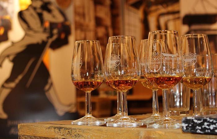 degustazione vari whisky