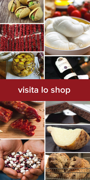 Visita lo Shop Online