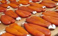 Bottarga di Muggine