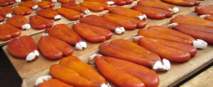 Bottarga di Muggine